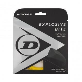 Rep Dunlop explosive bite