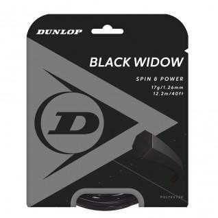 Rep Dunlop widow
