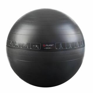 Träningsbollar för fitness Pure2Improve 65cm