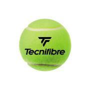 Uppsättning med 4 tennisbollar Tecnifibre Club Pet